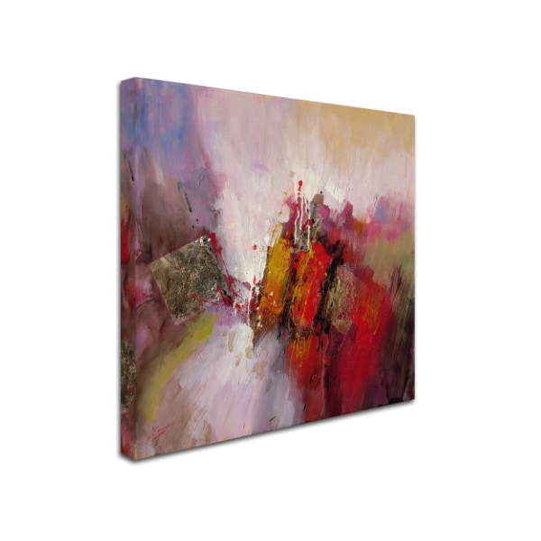 Ricardo Tapia 'Hot And Cold' Canvas Art,35x35